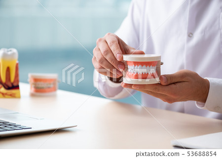Male doctor stomatologist working in the clinic Male doctor stomatologist working in the clinic 53688854