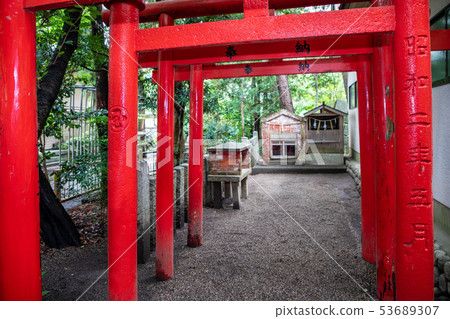 Senbon Torii Akatorii Tsu Castle ruin Takayama Shrine Senbon Torii Akatorii Tsu Castle ruin Takayama Shrine 53689307