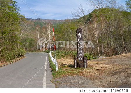 Oku Tone water source forest Oku Tone water source forest 53690706