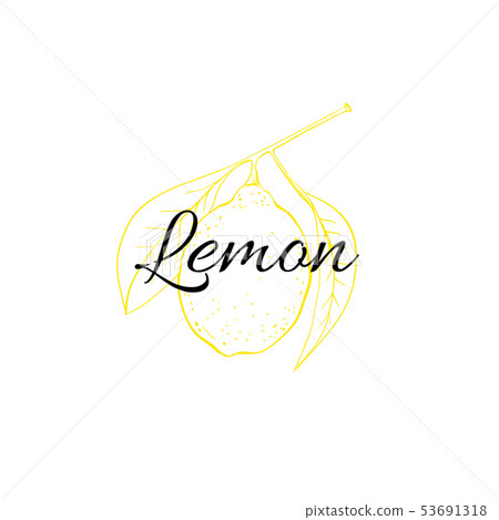 Flower drawing linear vector illustration 53691318