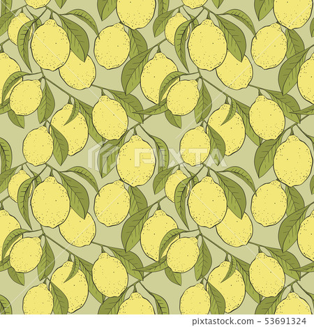 Lemons vector seamless pattern - Stock Illustration [53691324] - PIXTA