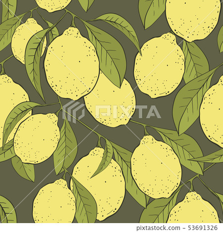 Lemons vector seamless pattern 53691326
