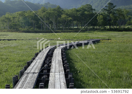 [平的比率]初夏的清晨的Ozegahara的風景 53691792
