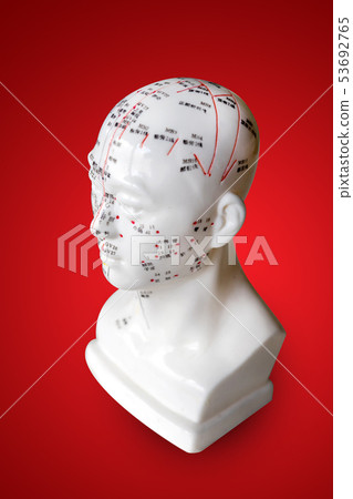 acupuncture points on head figure model 53692765