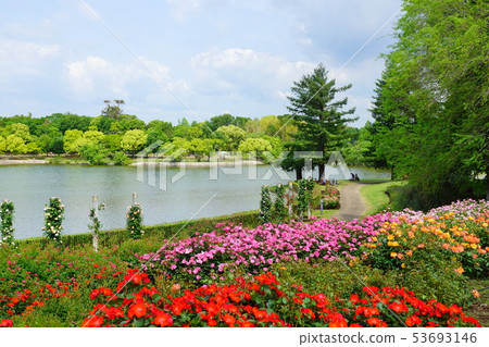 蜻蜓公園大阪府 蜻蜓公園大阪府 53693146