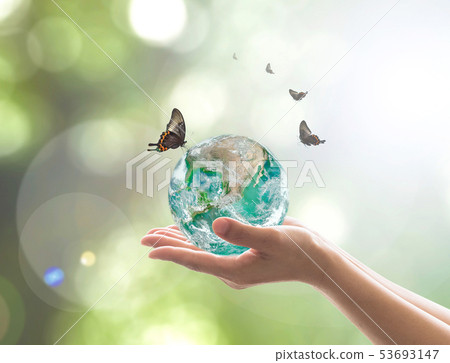 World environment day environmental eco friendly 53693147