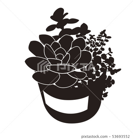 多汁植物 53693552