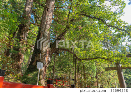 岡谷的日光富山神社連接 岡谷的日光富山神社連接 53694358