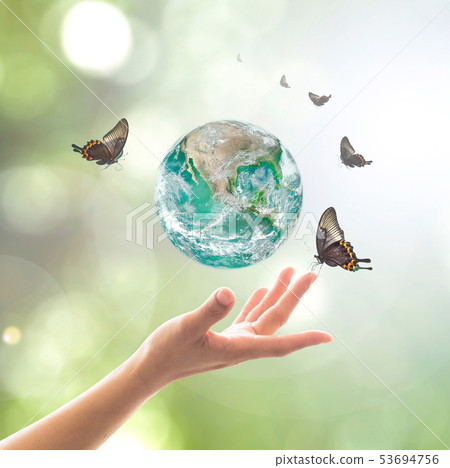 World environment day, sustainable ecology  53694756