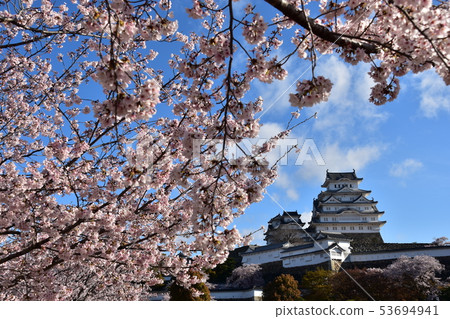 日本兵庫縣姬路市姬路城,世界遺產盛開的美麗櫻花,藍天和城堡塔樓 日本兵庫縣姬路市姬路城,世界遺產盛開的美麗櫻花,藍天和城堡塔樓 53694941