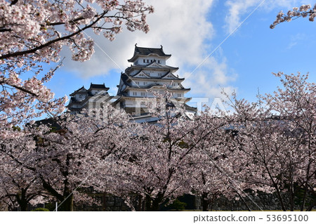 Himeji City, Hyogo Prefecture, Japan Himeji Castle, a World Heritage Site Beautiful cherry blossoms in full bloom, blue sky and a castle tower Himeji City, Hyogo Prefecture, Japan Himeji Castle, a World Heritage Site Beautiful cherry blossoms in full bloom, blue sky and a castle tower 53695100