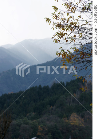 鳥取四季走冬天的花 53695680