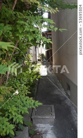 小路 小路 53695804