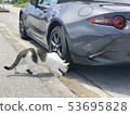 Miata ND touring in Okinawa  53695828