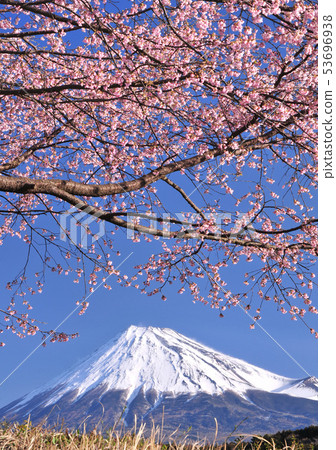 Cherry blossoms and Mt. Fuji-222 201 Cherry blossoms and Mt. Fuji-222 201 53696938