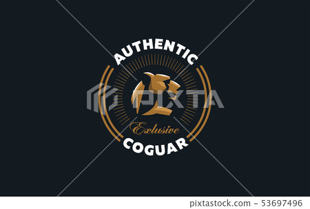 The image of a cheetah. The image of a cheetah. 53697496