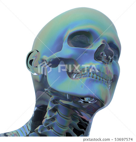 3d rendering of skull - Stock Illustration [53697574] - PIXTA