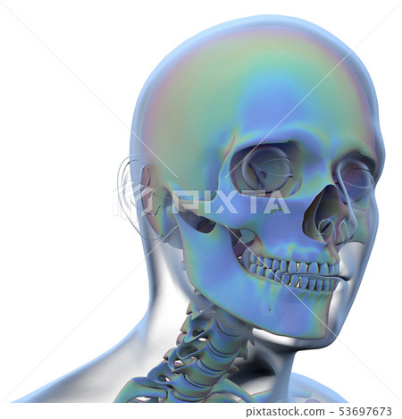 3d rendering of skull 3d rendering of skull 53697673