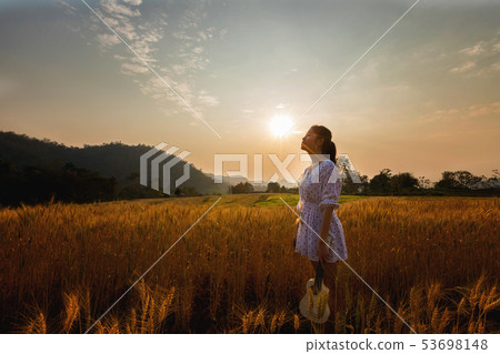 Asian woman with ukulele in barley field at sunset Asian woman with ukulele in barley field at sunset 53698148