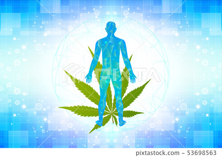 Marijuana plant and cannabis in body palagon. 53698563
