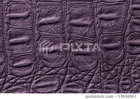 Dark violet leather texture background, closeup. Dark violet leather texture background, closeup. 53698901