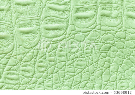 Light green leather texture background, closeup. Light green leather texture background, closeup. 53698912