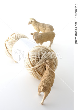 Sheep and Yarn 53698944