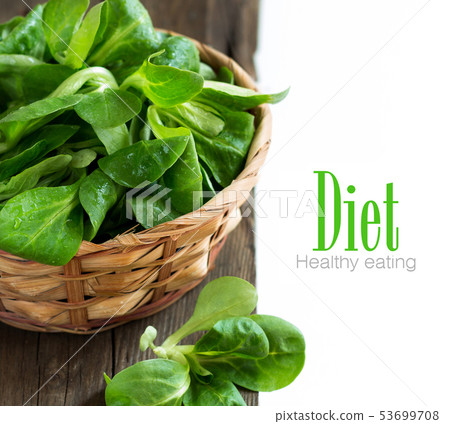 Field salad 53699708