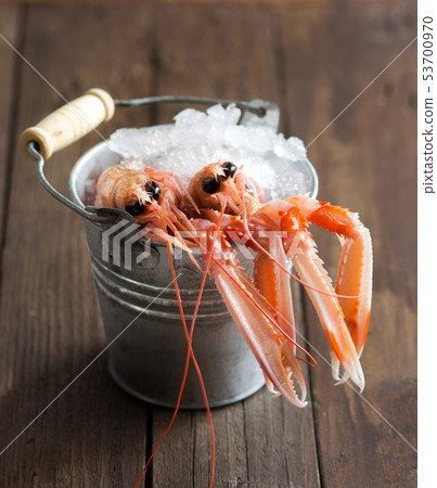 Raw langoustines on ice in a bucket Raw langoustines on ice in a bucket 53700970
