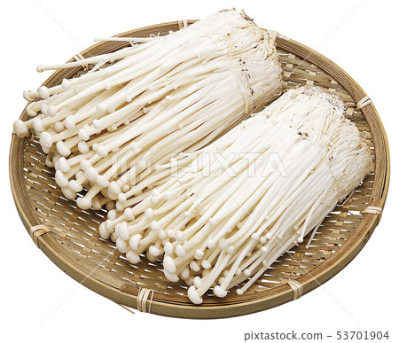 Enokidake（帶通行證）09 53701904