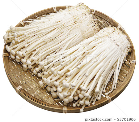 Enokidake（帶通行證）13 53701906