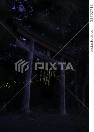 埼玉縣秩父市鳥居和Himebotaru 埼玉縣秩父市鳥居和Himebotaru 53702718