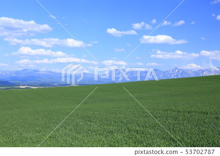 Hikkaido Biei town residual snowfall of Tokachi dake and Biei's hill 53702787