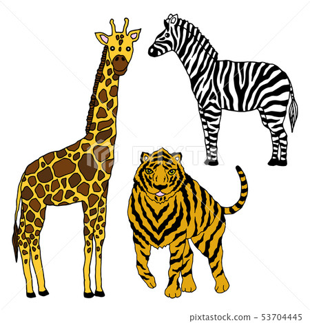set wildlife animal giraffe tiger zebra vector 53704445