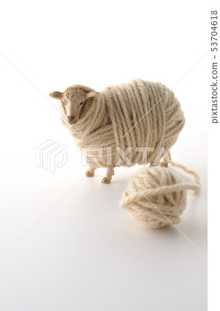 A sheep 53704618
