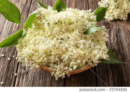 Fresh elder flowers in a basket on a table 53704890