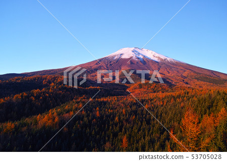Take a sunrise in the red foliage season of Mt. Fuji 53705028