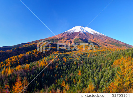 Fuji of autumn leaves season 53705104