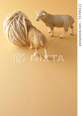 Hide the head and hide ass 53706111