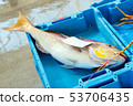 Containers with catch sea fish delicacies Blanes 53706435
