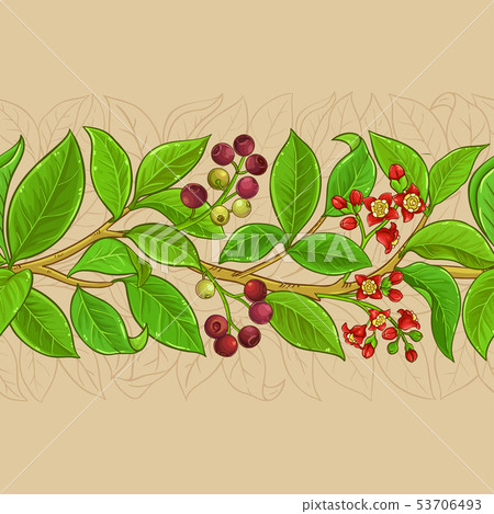 sandalwood vector pattern sandalwood vector pattern 53706493