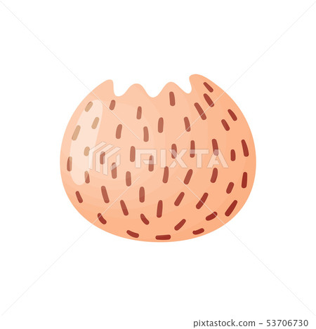 Beige flower pot in the shape of a ball. Vector illustration on white background. 53706730
