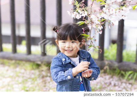 Girl touching cherry blossoms 53707294