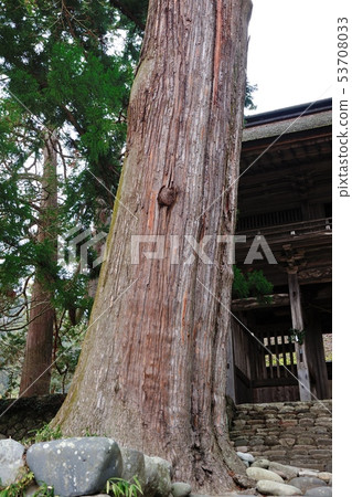 Sugi的杉原神社 53708033