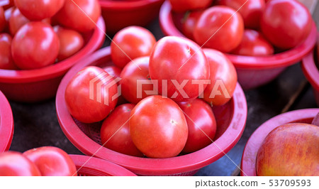 班讓市場深紅塑料膠西瓜新鮮新鮮番茄番茄傳統市場韓國 班讓市場深紅塑料膠西瓜新鮮新鮮番茄番茄傳統市場韓國 53709593