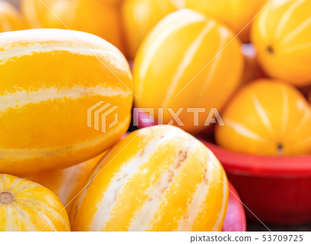 Melon melon, melon, melon, melon, melon, melon, watermelon, fresh, fresh, korean melon, traditional market, korea Melon melon, melon, melon, melon, melon, melon, watermelon, fresh, fresh, korean melon, traditional market, korea 53709725
