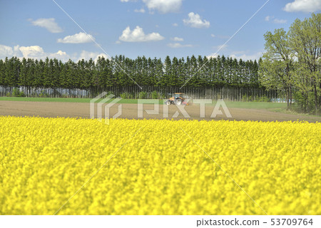 Fields and tractors Fields and tractors 53709764