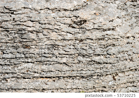 Background of Layered Rock - Stone of Lessinia 53710225