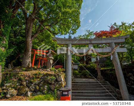 Izushi Castle trace of fresh green 53710348