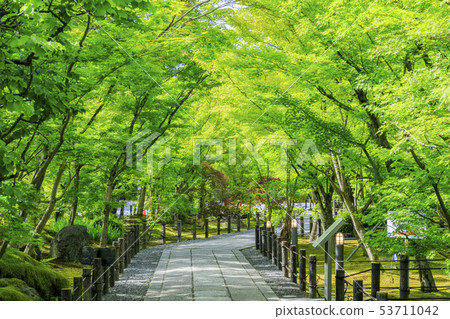 Eikando fresh green Eikando fresh green 53711042